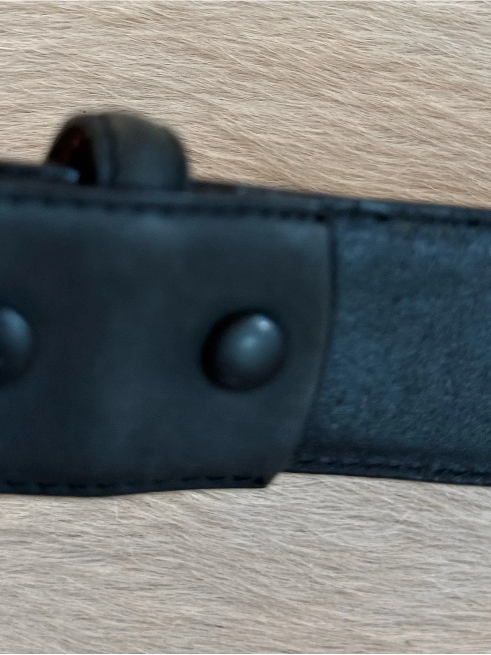 Resistol Black Leather Belt with Brown Braided Inlay and Silver Conchos
